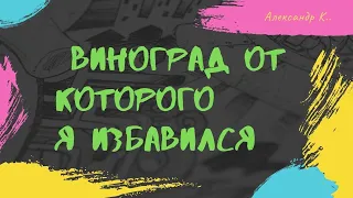 виноград от которого я избавился