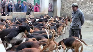 Feeding the Hounds at France's Châteaux Cheverny