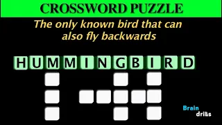 Animals Crossword Puzzles I GK I