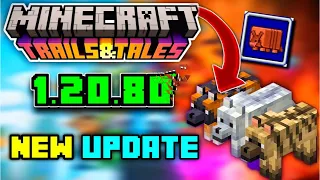 MINECRAFT 1.20.80 UPDATE 🔥🔥pe (don't miss)