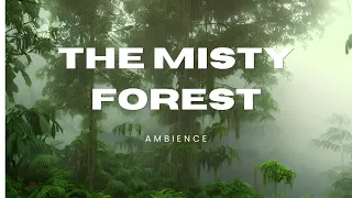 The Misty Forest #forestrainsounds ASMR - #tyrannyofdragons #dnd #dungeonsanddragons #rpg #ttrpg