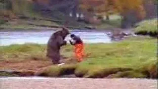 Bear Fights Man Over Fish