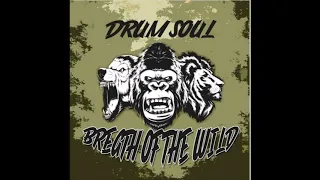 Drum Soul  - Breath of the wild