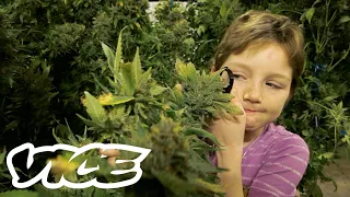 Medical Marijuana for Minors