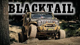 Tackling the Blacktail Wild Bill Jeep Badge of Honor Trail - Exploring Lakeside, Montana