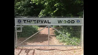 "Out of Thiepval Wood into History"