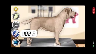 Dog games: pet vet doctor care