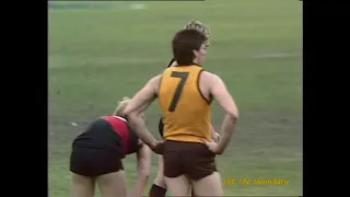 1985 VFL Grand Final: Essendon v Hawthorn (5 minutes to go)