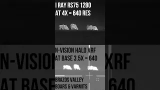 iRay 1280 RS75 vs N-Vision Halo XRF