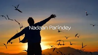 Nadaan Parinde | Rockstar | 1 Hour Loop |