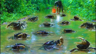 Oh Amazing Catching Crabs When Flood After Raining A Week, A Fisherman Finding & Catch A Lot