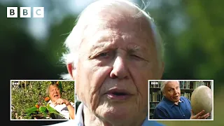 98 years of Sir David Attenborough in 98 seconds ❤️ | David Attenborough's Birthday - BBC