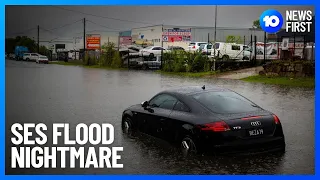 Queensland Flood Emergency Deaths And Evacuations | 10 News First