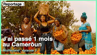 LA VÉRITÉ SUR LE CAMEROUN 🇨🇲 MOTHERLAND, épisode 3 (images exclusives pour Youtube)