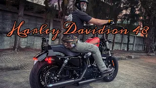 Harley Davidson 48 Sportster forty eight | Bright morning | Big breakfast