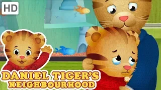 Daniel Tiger 😥 Losing Something You Love | Videos for Kids