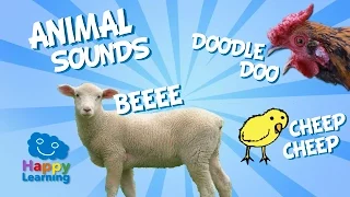 Animal Sounds for Children (Real Animal Sounds)