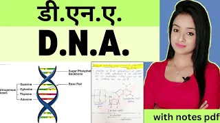 cell biology (L-14),DNA bsc 1st year zoology, lion batch knowledge adda notes in Hindi, 12th ,neet