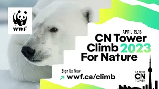 CN Tower Climb for Nature 2023