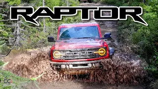 Ford Bronco Raptor: новый бесспорный король бездорожья!