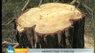 "Чёрных лесорубов" задержали в Зиминском районе необычным способом