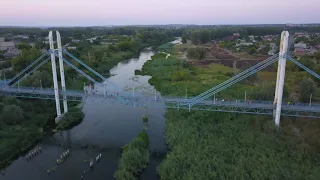 Ізюм цвіти, зростай