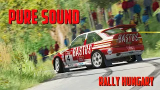 Pure Sound - Rally Hungary - Sajokaza - Assetto Corsa