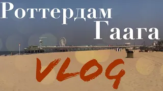 VLOG | кращі міста Нідерландів. З‘їли море.