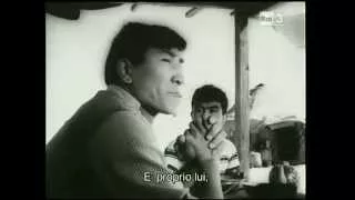 Фильм Зной (1963)