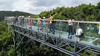 Стеклянный мост в джунглях Янода Хайнань Лучшая экскурсия