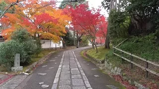 京都　紅葉の真如堂　Shinnyodo (temple) in autumn leaves, Kyoto