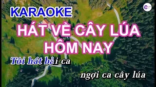 Hát Về Cây Lúa Hôm Nay || KARAOKE HD || Beat Chuẩn