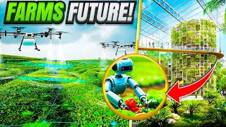 How The Futuristic Farms Will Help to Feed the World