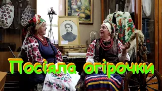 Посіяла огірочки - Дует Родослав (старовинна пісня)