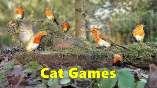 Cat Games 🐈 Where's The Birdie TV - A Game for Cats TV