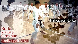 2023 Tatsuya Naka Sensei Budo Karate Seminar in San Fernando, Spain