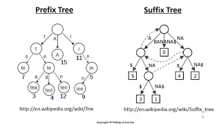 Week 5.1.2 Reads Mapping and Variants Calling (Next Generation Sequencing NGS)