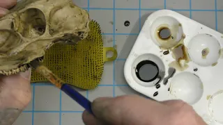 Painting Realistic Bone on 3D printed Skull_v2