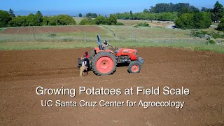 Growing Potatoes At Field Scale - UC Santa Cruz Center for Agroecology