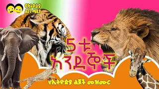 5ቱ አንደኞች /Ye ethiopia lijoch song/የኢትዮጵያ ልጆች መዝሙር