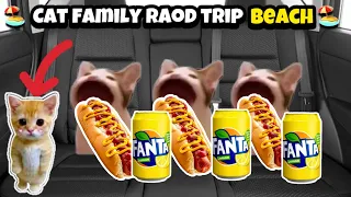 CAT MEMES: FAMILY ROADTRIP COMPILATION 猫のミーム: 家族でドライブ旅行のまとめ #catmemes