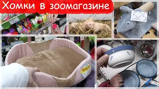 Хомки в зоомагазине. Дарим покупки животным