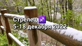 СТРЕЛЕЦ. Расклад ТАРО на 5-18 ДЕКАБРЯ 2022