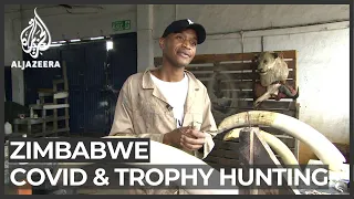 COVID-19 curbs threaten Zimbabwe’s trophy hunting industry