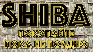 ШИБА ИНУ: КАК ЗАСТАВИТЬ РАСТИ СВОЙ КАПИТАЛ? НОВОСТИ И АНАЛИТИКА КРИПТОВАЛЮТА SHIBA INU!