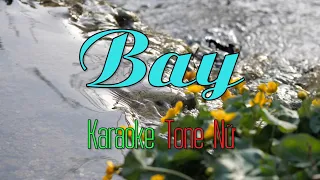 Karaoke Beat Chuẩn - Bay | Thu Minh - Tone Nữ (Gm)