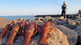 PESCA DE LAGOSTA NO ANZOL USANDO VARA E MOLINETE NO COSTÃO!!! Sistema do CHUVEIRINHO.