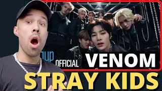 STRAY KIDS VENOM REACTION - THIS IS THE NEXT BEST THING !!