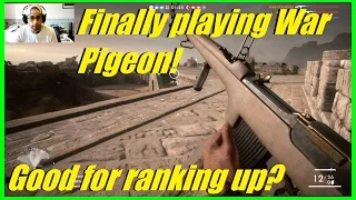 Super crazy War Pigeon match! | Is mode good for ranking up fast? (40+ kills) - Battlefield 1