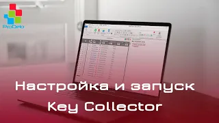 Настройка и запуск Key Collector